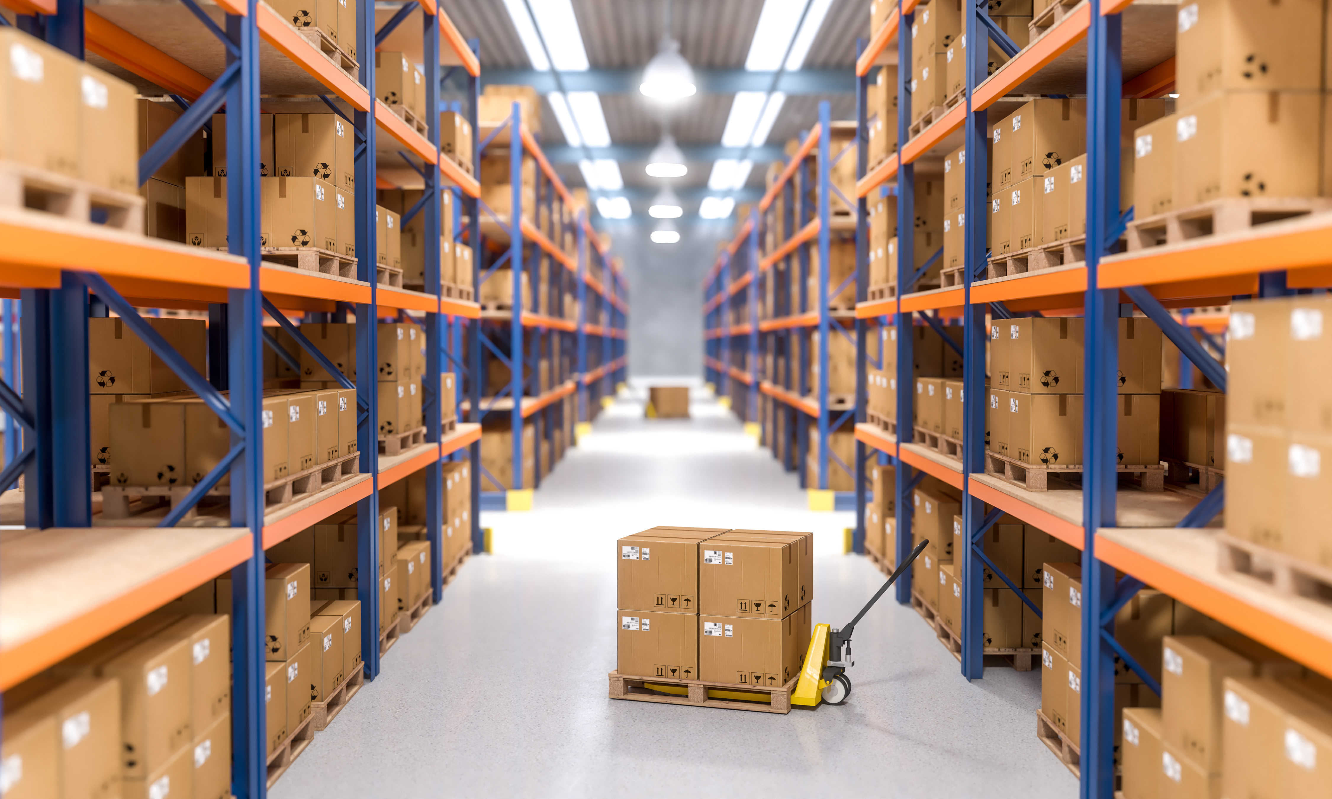 Comprehensive Insights into Warehouse Management and Operations
