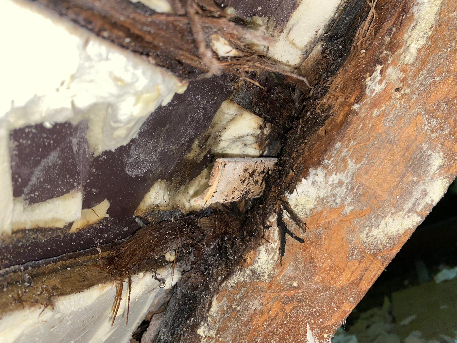 Spray Foam Extraction: What Homeowners Need to Know