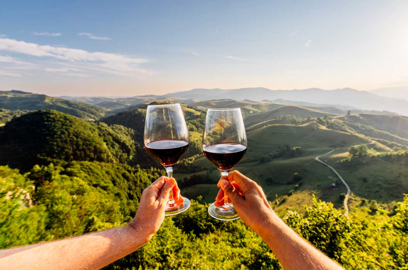 Langley Wine Tours Designed for Comfort and Elegance