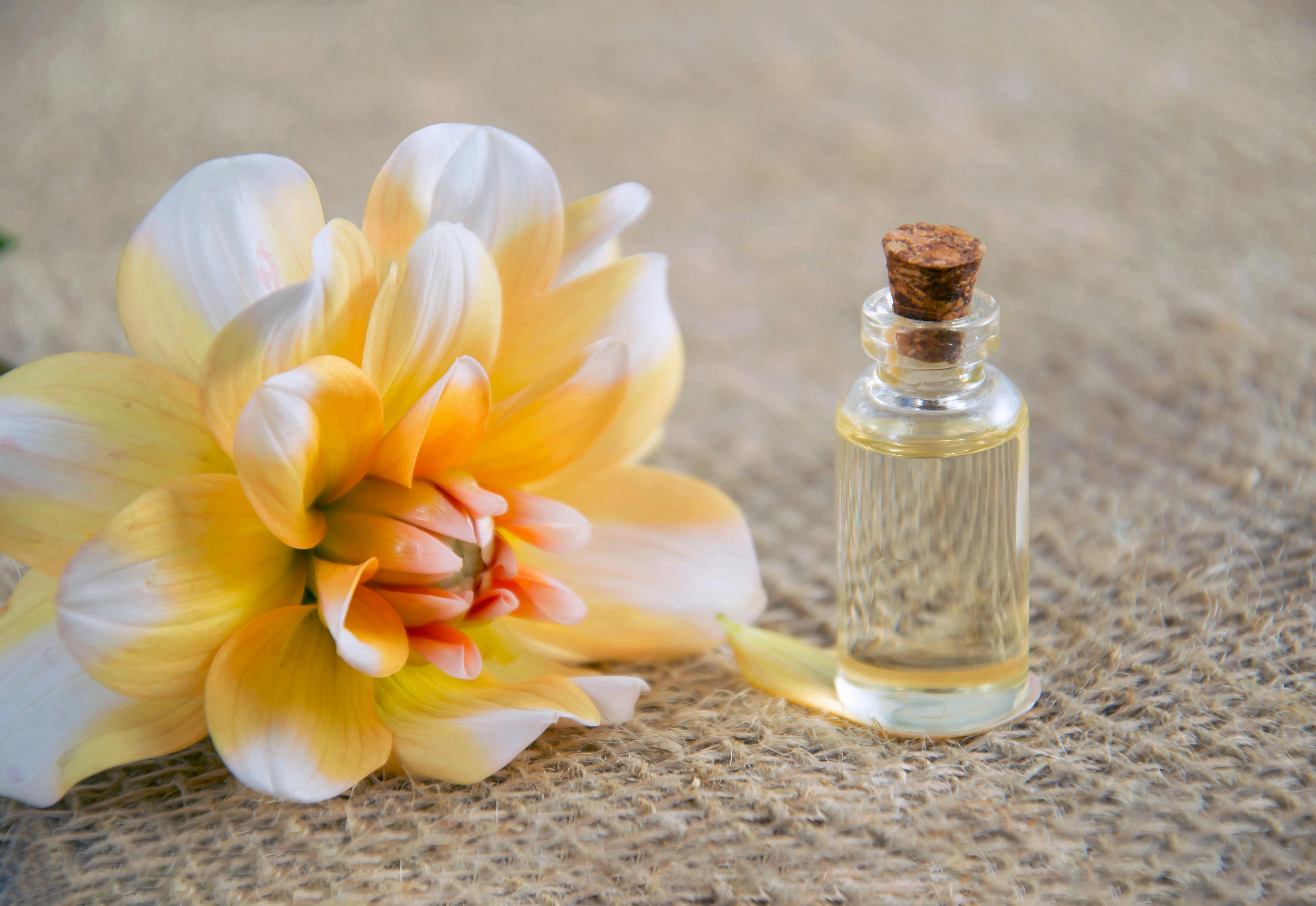 Gucci Guilty Intense Perfume vs Original Gucci Guilty – Key Differences